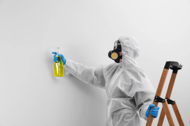 Richwood, TX Mold Removal Services Company